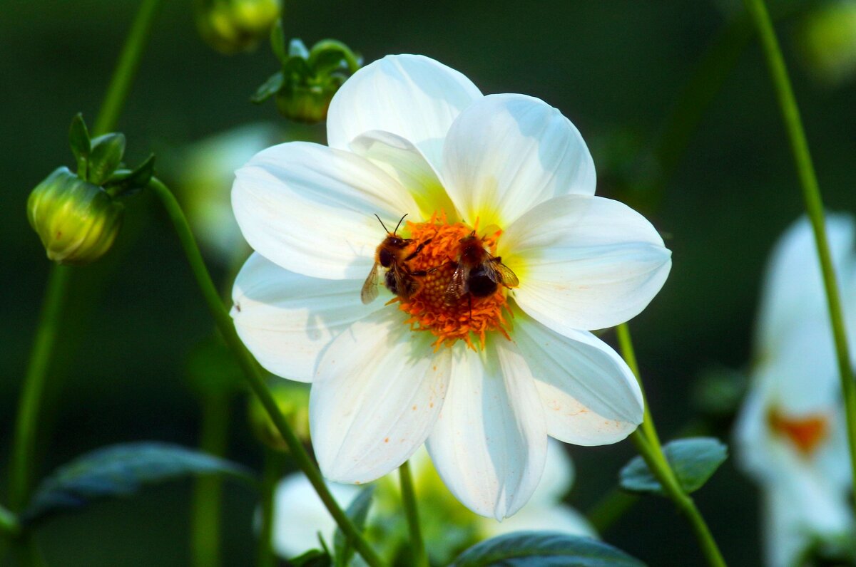 Октябрьским днём - Юрий. Шмаков