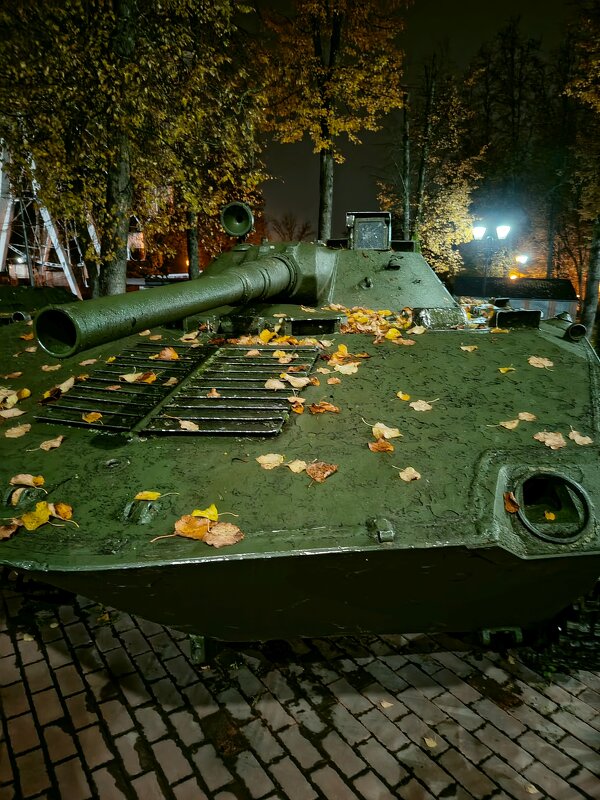 Осенняя листва - она и на броне! - Vladimir Semenchukov