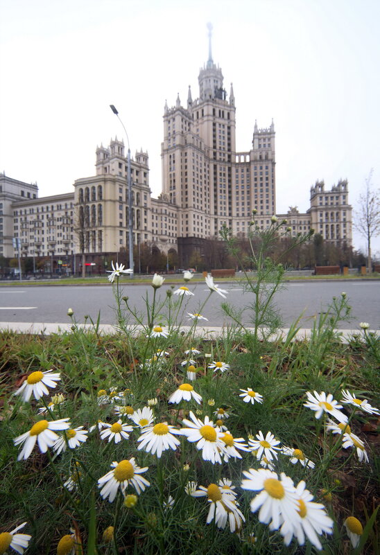 Яузские Ворота 19 октября - Михаил Бибичков