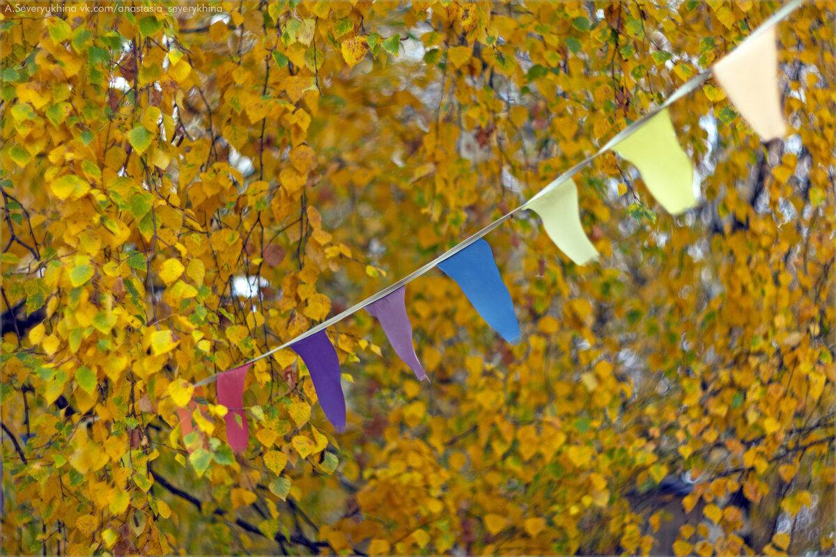 праздник - Анастасия Северюхина