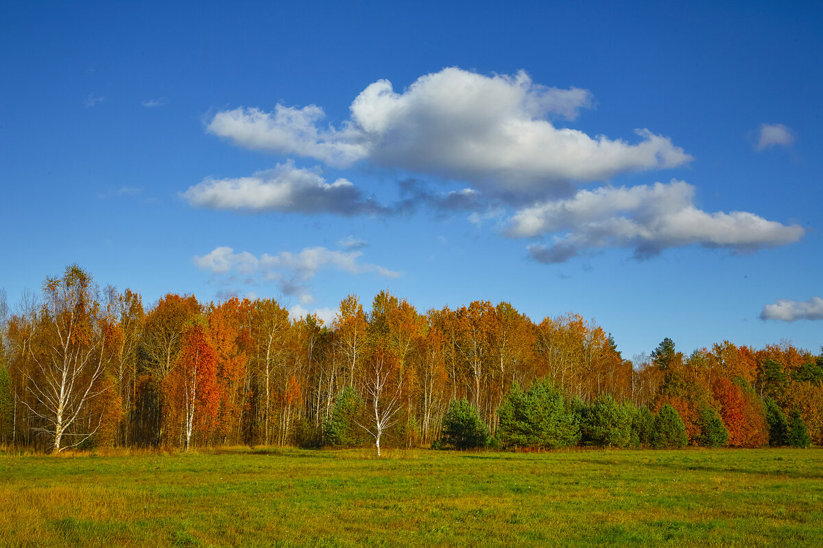 Tallinn, Fotograaf Arkadi Baranov, FEP, Estonia - Аркадий  Баранов Arkadi Baranov