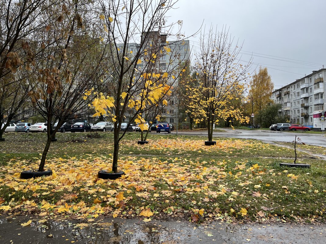 ***осеннее - дождливое...*** - Olga Oskolkova ***осеннее - дождливое...*** - Olga Oskolkova