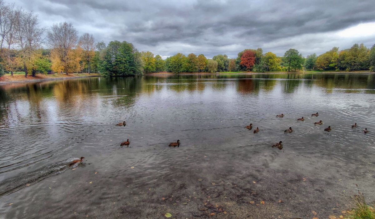 Терлецкие пруды - Наталья Лакомова Терлецкие пруды - Наталья Лакомова