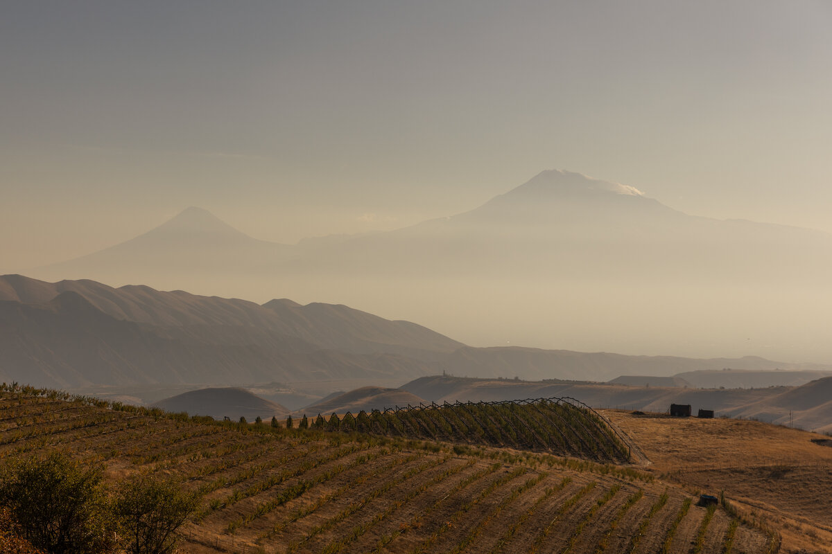 Армения - Movses Shahinyan