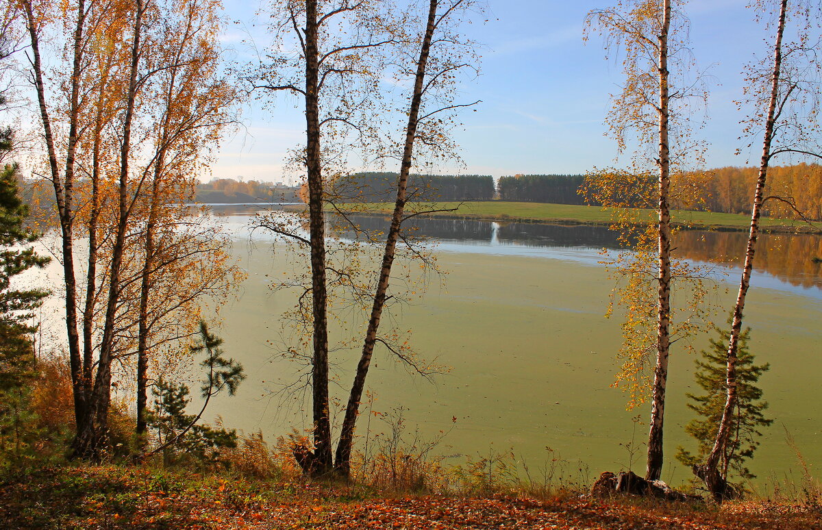 Осень - tamara kremleva