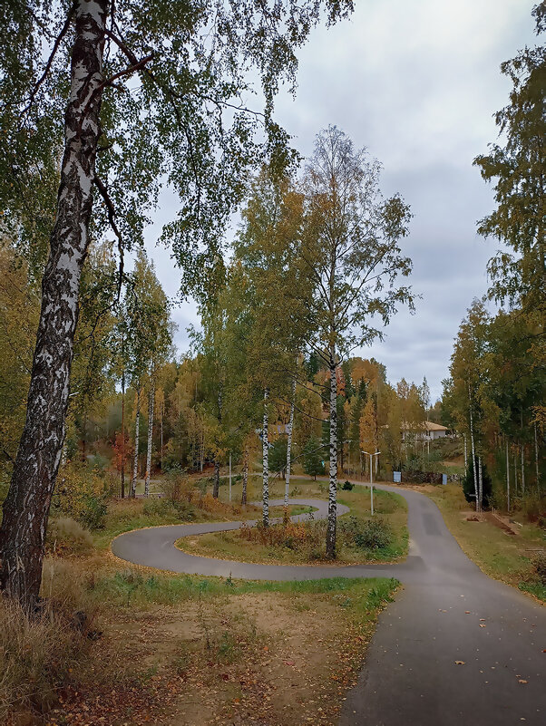Территория лыжной школы по подготовке олимпийского резерва, Юкки, СПб. Осень. - Лилия *