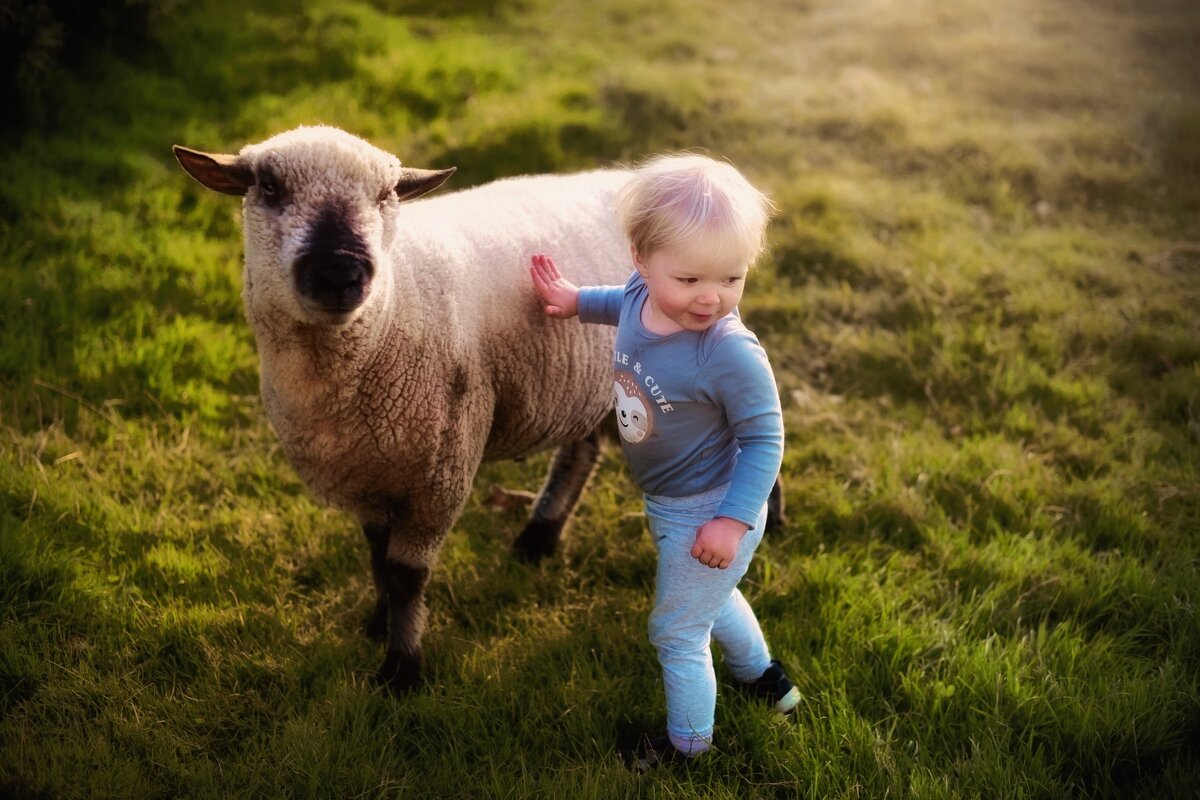 Дружеские отношения - Pawel Klotschkow Дружеские отношения - Pawel Klotschkow