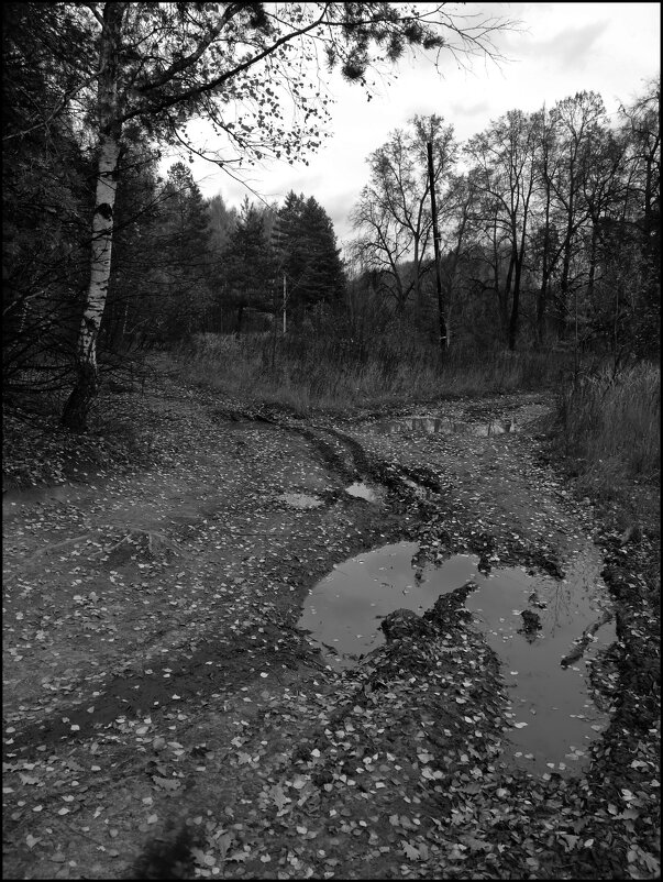 Осенняя лужа - Наталья Rosenwasser