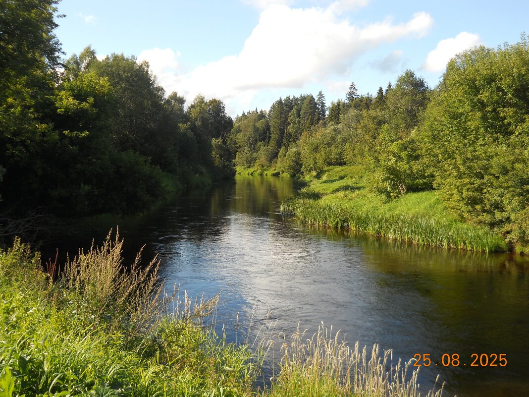 вид у реки Дубны - fogmeadowww m