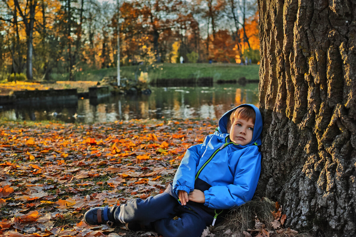 Осень... Осень - ВЛАДИМИР 