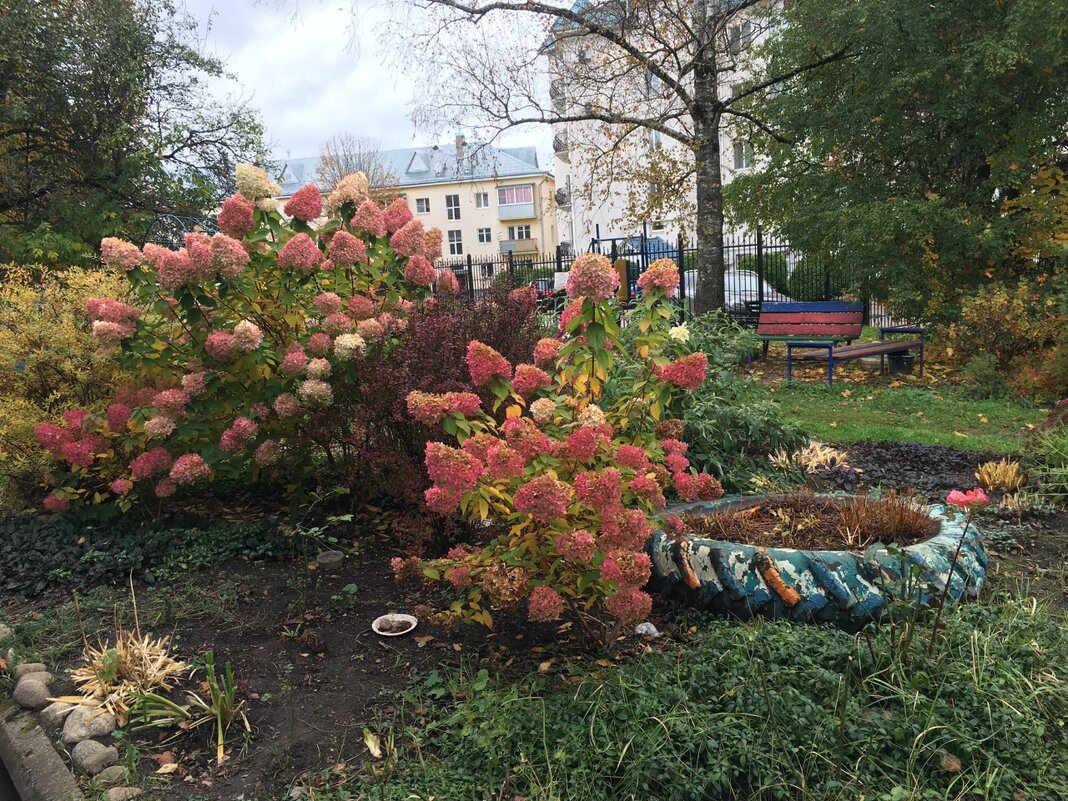 Великолукский дворик... - Владимир Павлов