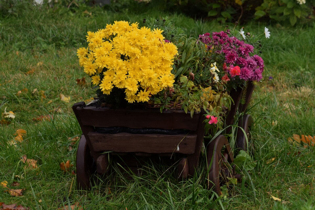 Осенние цветы монастыря божественно прекрасны. - Татьяна Помогалова