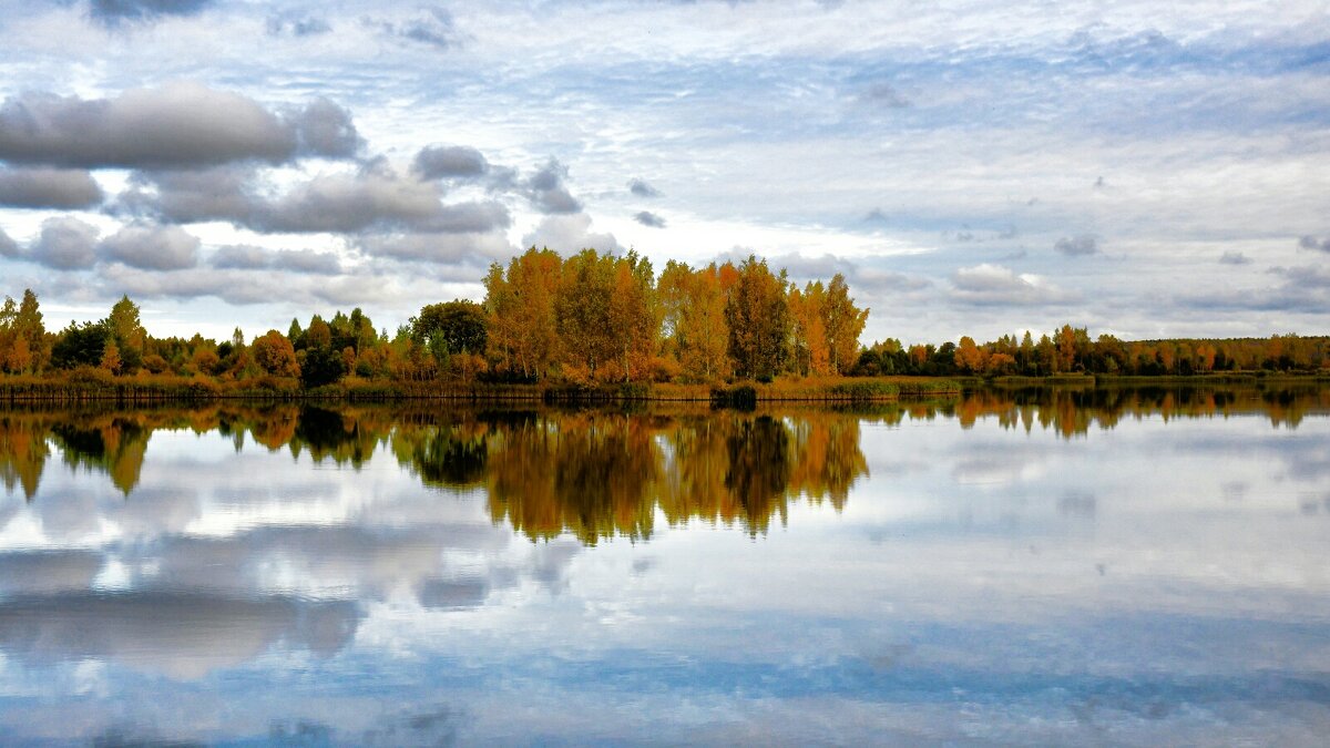 Золотая осень Смоленщины. - Милешкин Владимир Алексеевич Золотая осень Смоленщины. - Милешкин Владимир Алексеевич