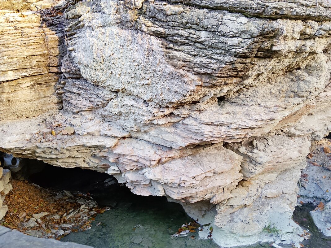 МАЦЕСТА - Tata Wolf