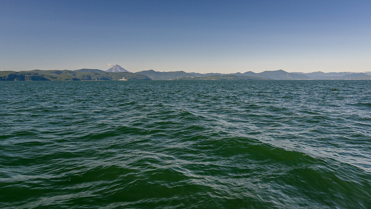 ... - Жора Житников