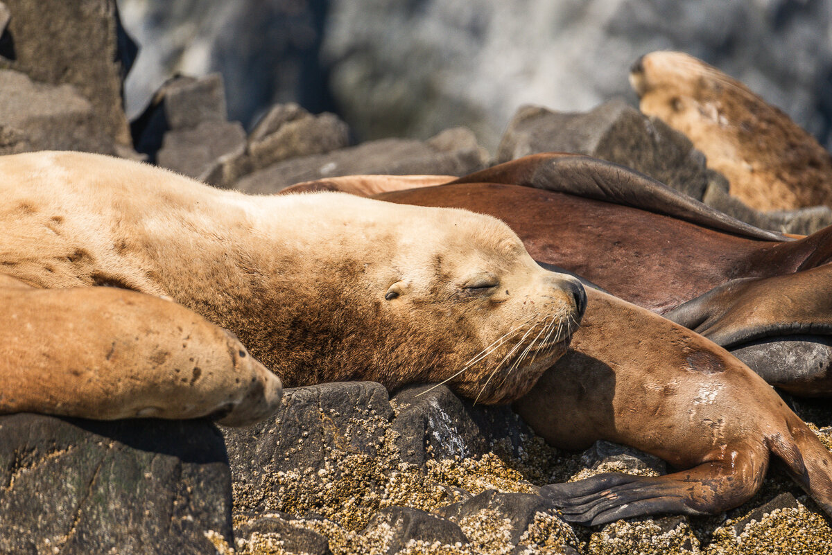 ... - Жора Житников