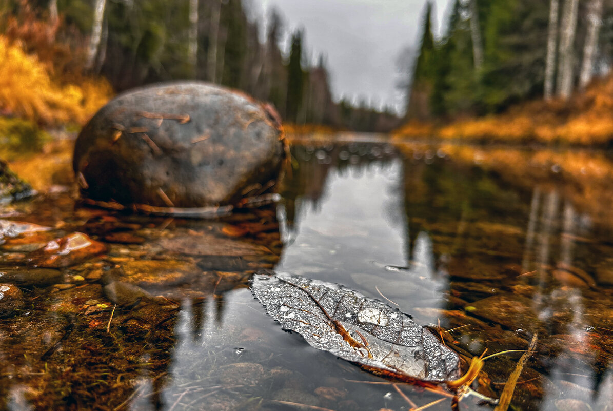 Осень - Дмитрий Иванов