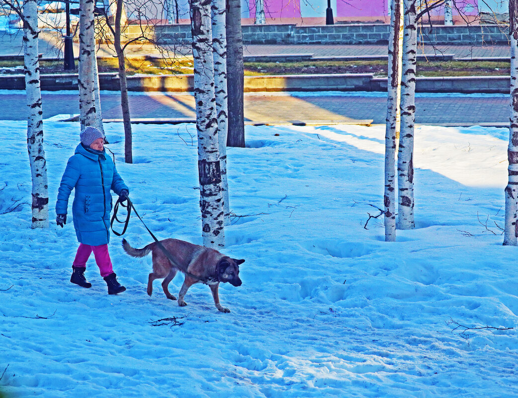 Ноябрь...По первому снегу с собакой! - Владимир 