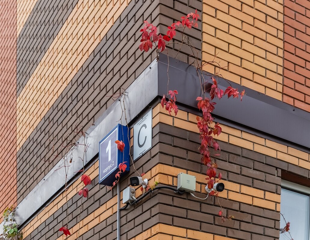 И сюда залез - Валерий Иванович