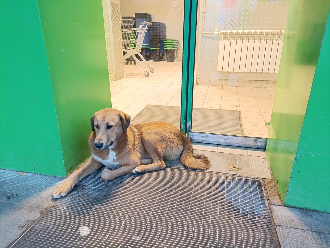 Входной контроль. - Владимир Волик