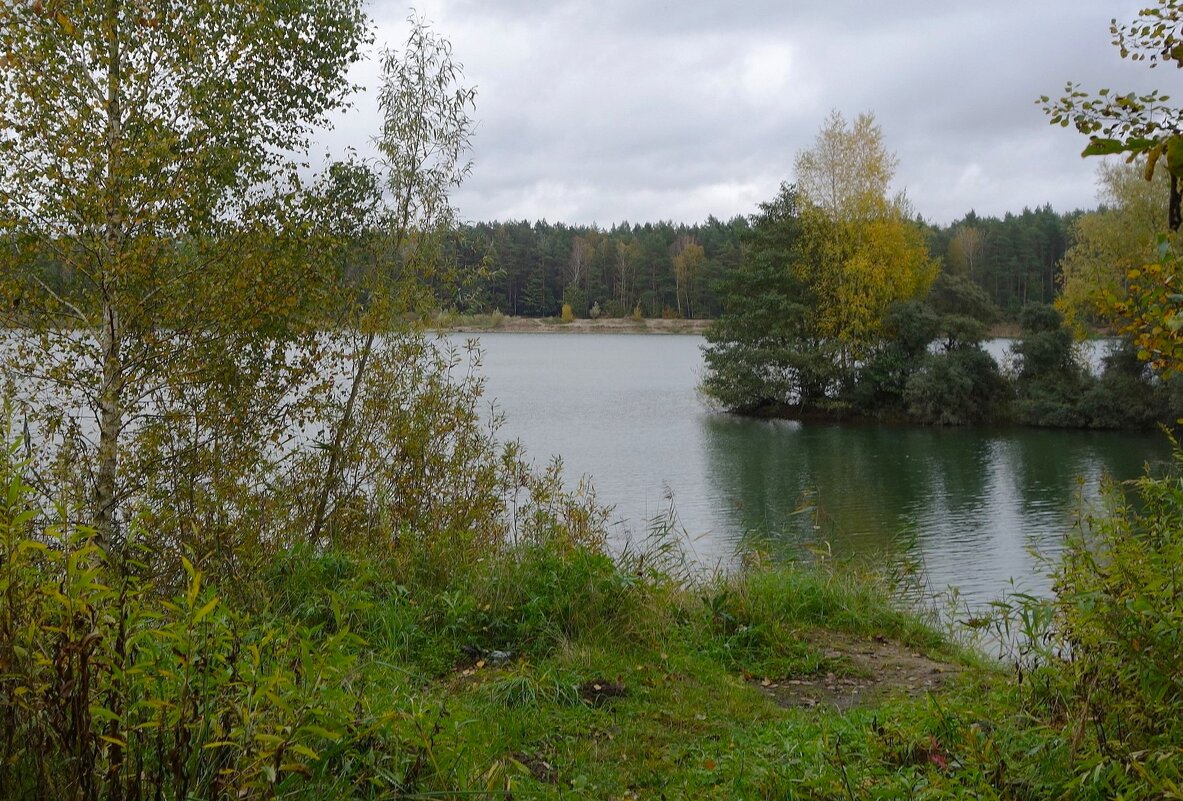 Лесное озеро - Рита Симонова