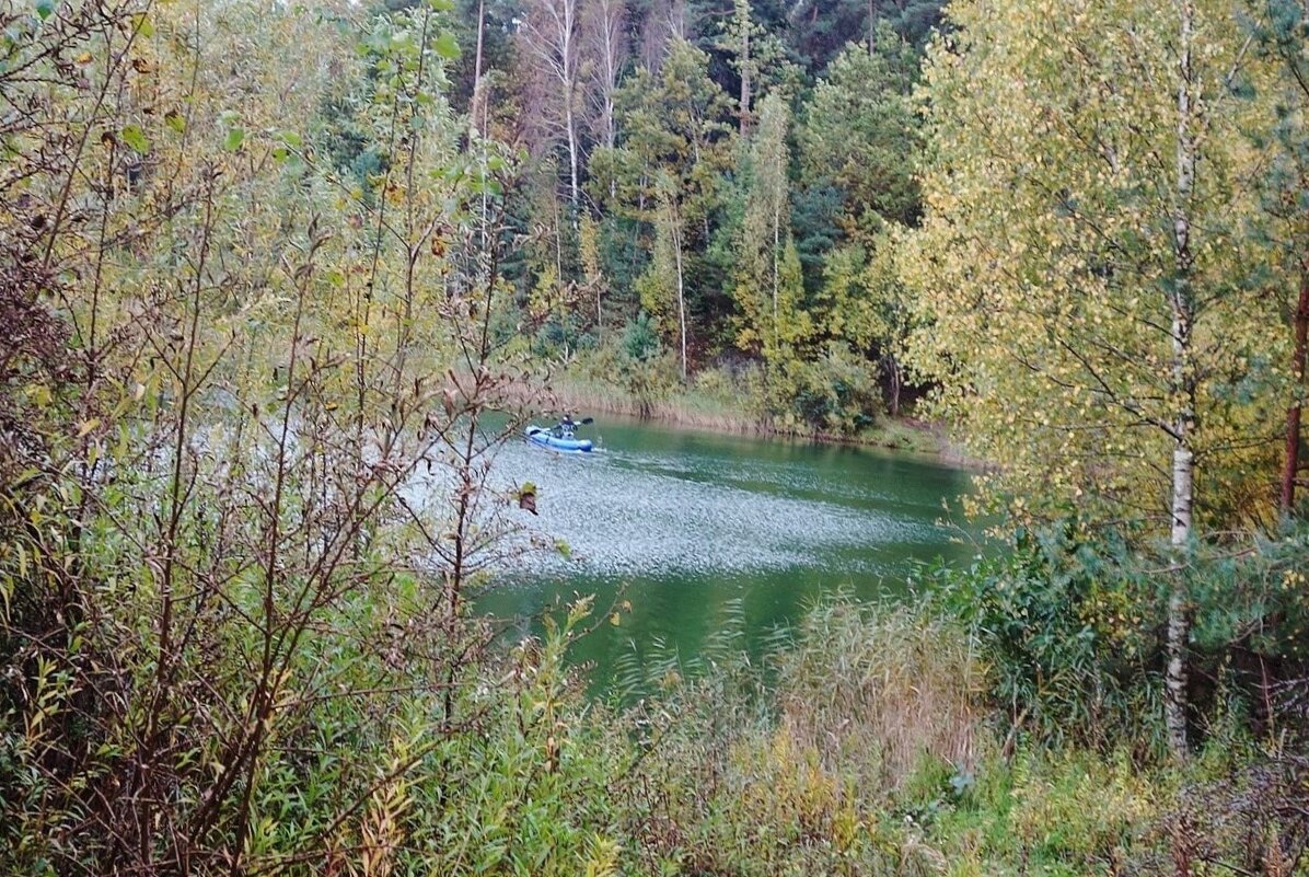 Лесное озеро - Рита Симонова