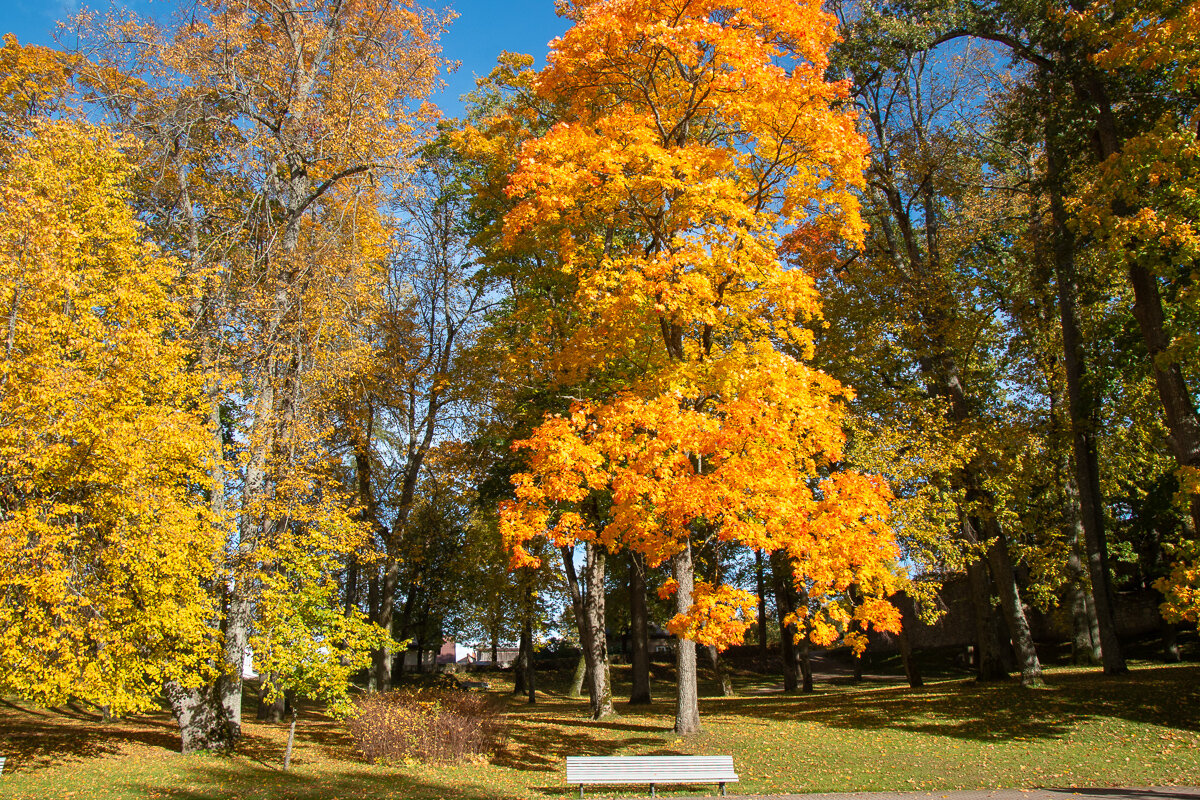 *** - Геннадий Порохов