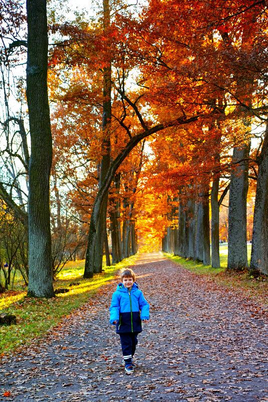 ... - ВЛАДИМИР 