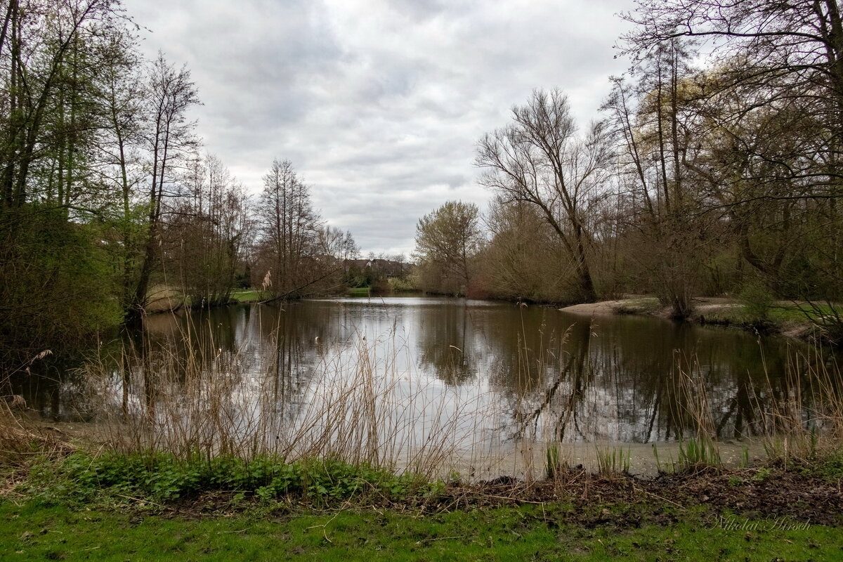 *** - Николай Гирш