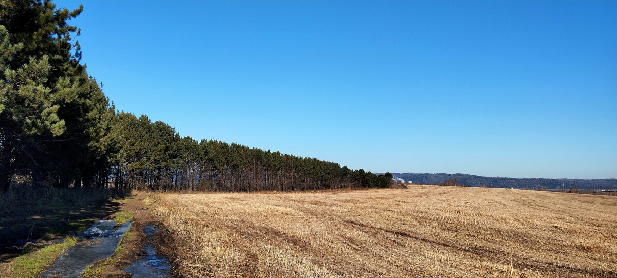 Прекрасный день!!! - Радмир Арсеньев