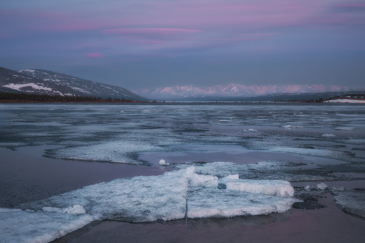 Июньским вечером - Дмитрий Шишкин