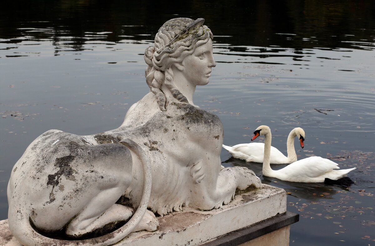 Царицыно 22-30 сентября - Михаил Бибичков