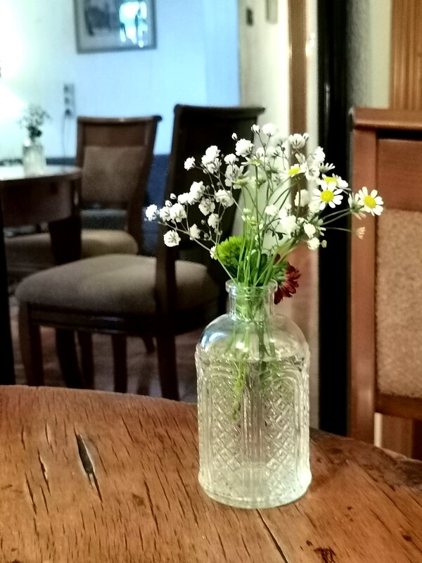 *** - Любимова Ольга 