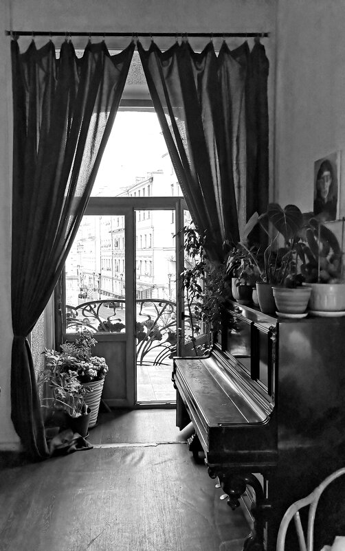 Черно-белая фотография - Любимова Ольга 