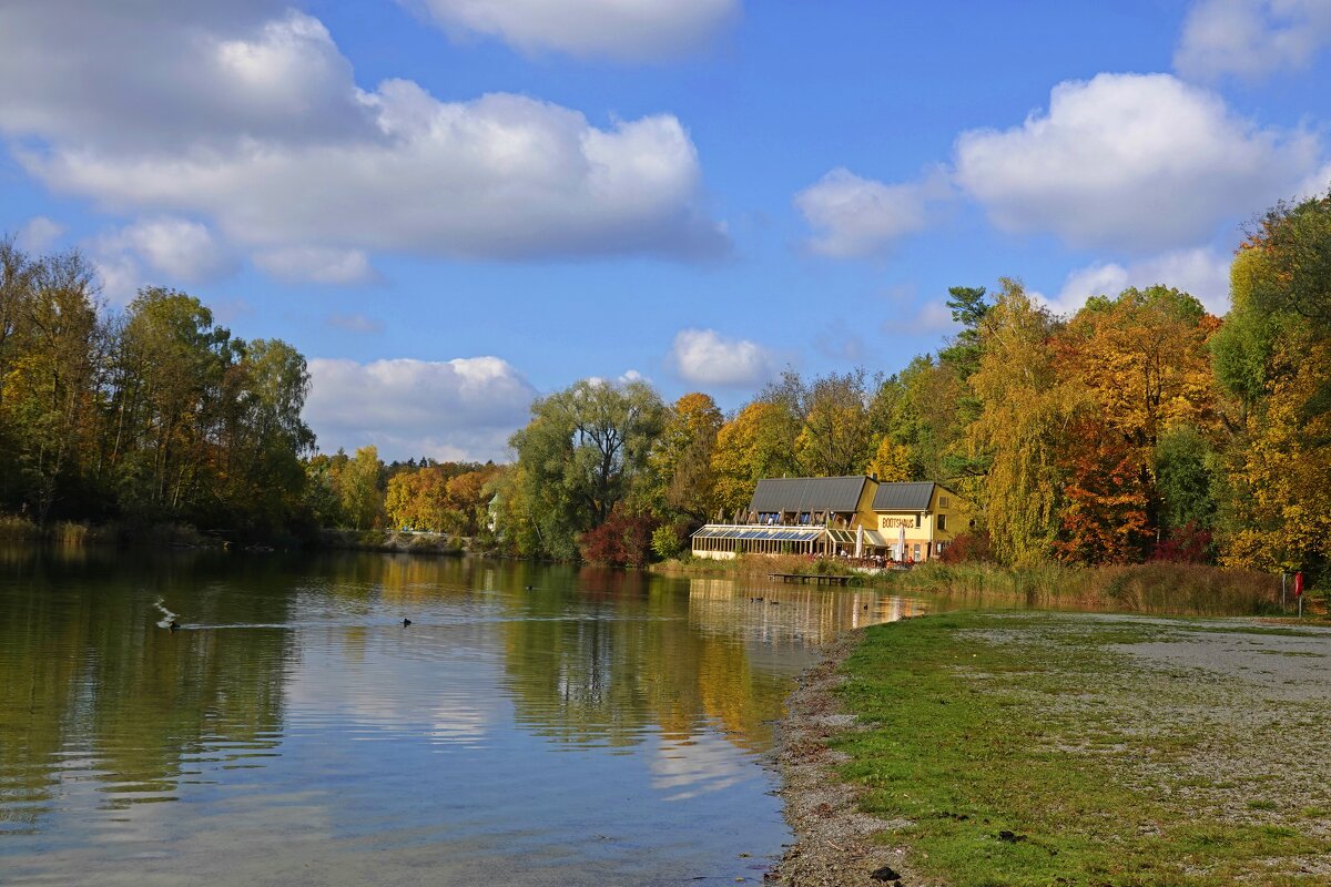 В октябре мир объят пламенем... Никогда не подвергай сомнению чудеса, когда они происходят. Рэй... - Галина В октябре мир объят пламенем... Никогда не подвергай сомнению чудеса, когда они происходят. Рэй... - Галина