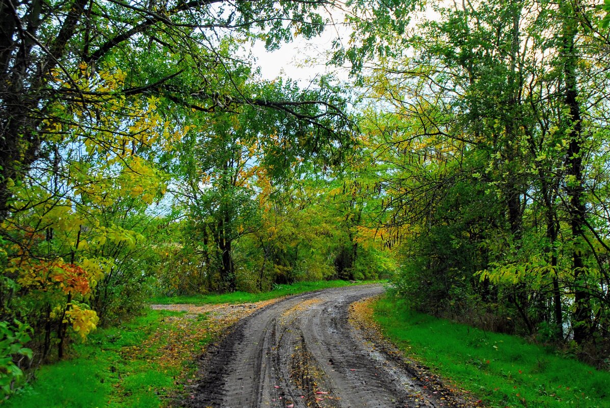 Октябрь. - Владимир 