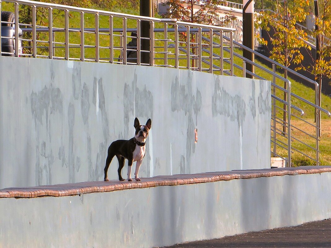 Так лучше видно - Лариса С.