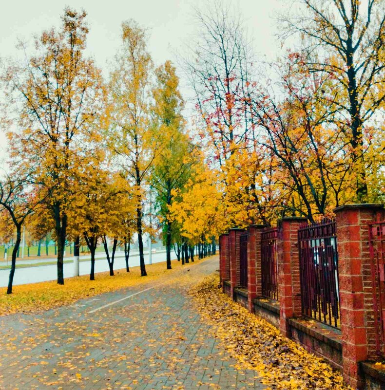 Октябрь - Галина Бобкина