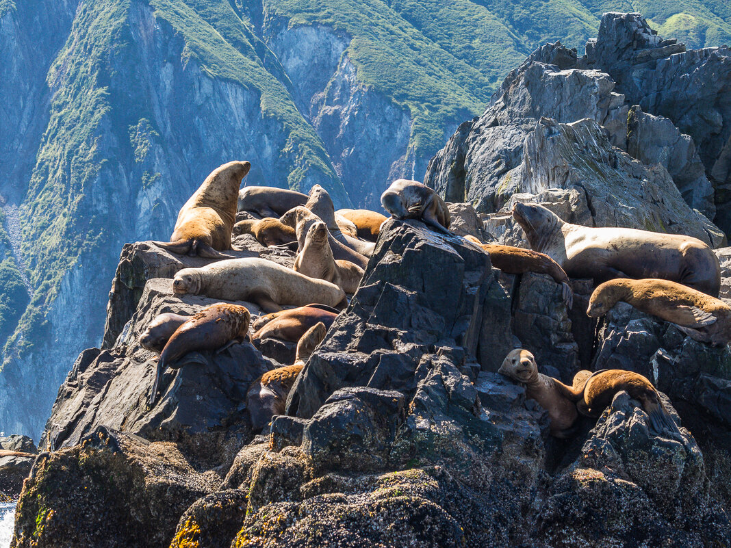 ... - Жора Житников ... - Жора Житников