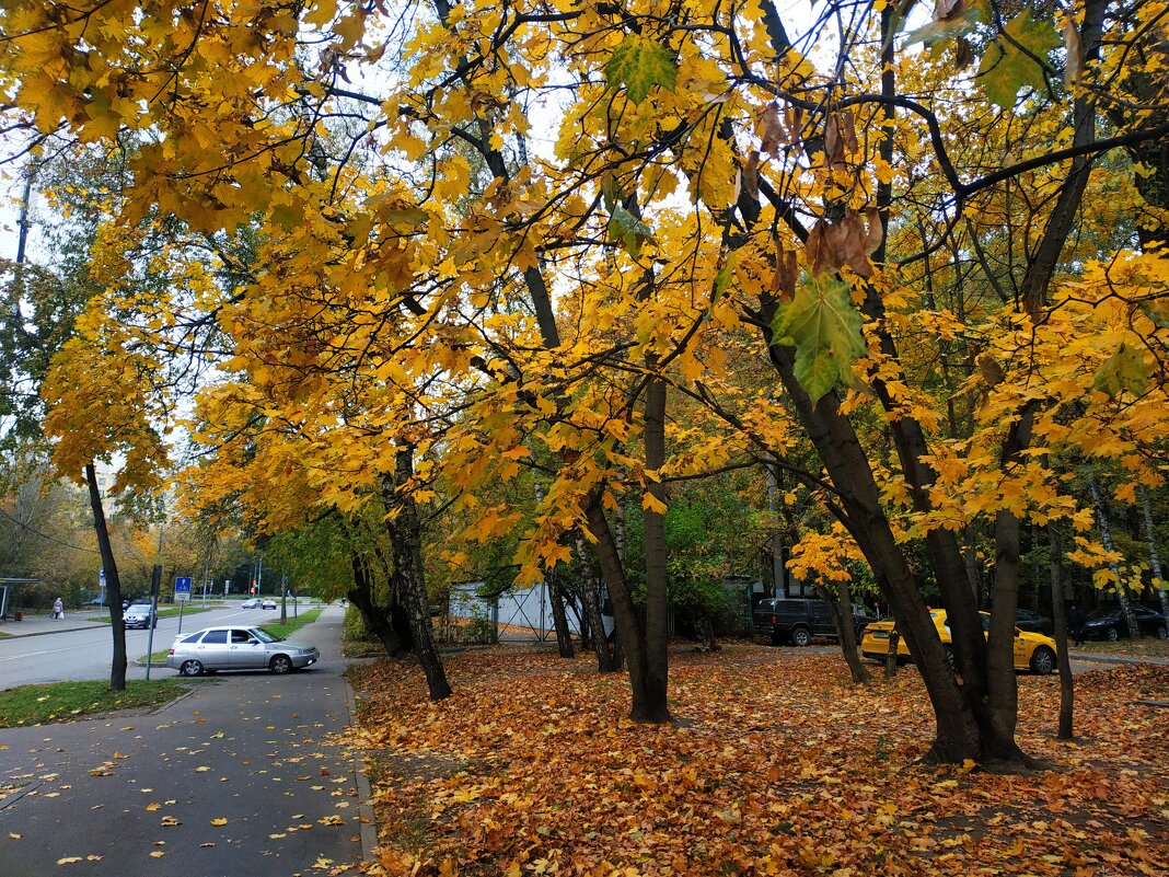 Октябрь как он есть - Андрей Лукьянов