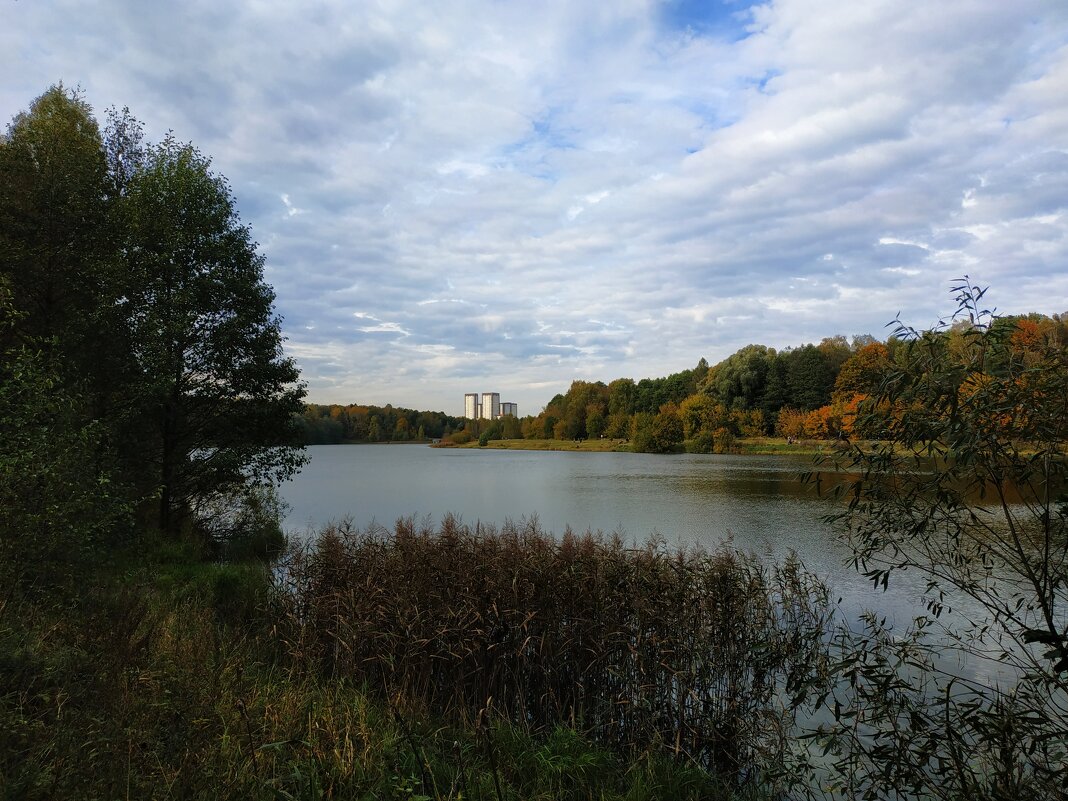 Октябрь как он есть - Андрей Лукьянов