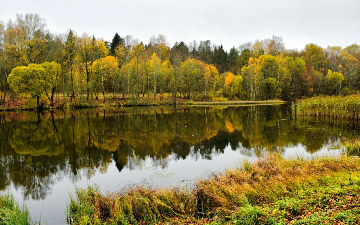 Пасмурно и дождливо. - Милешкин Владимир Алексеевич 