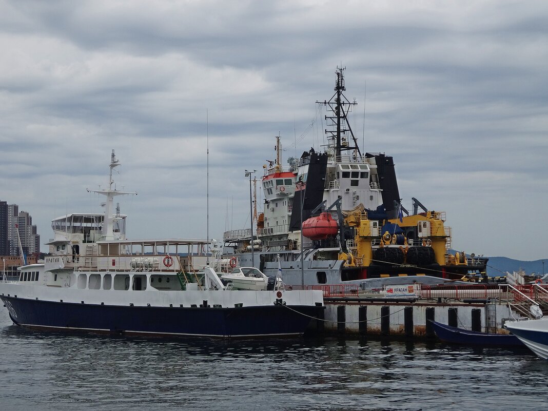 Владивосток. Корабельная набережная - Лидия Бусурина