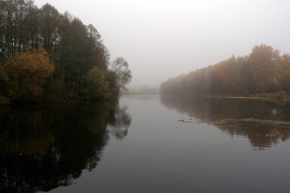 Туман на пруду - Dar(k) Life