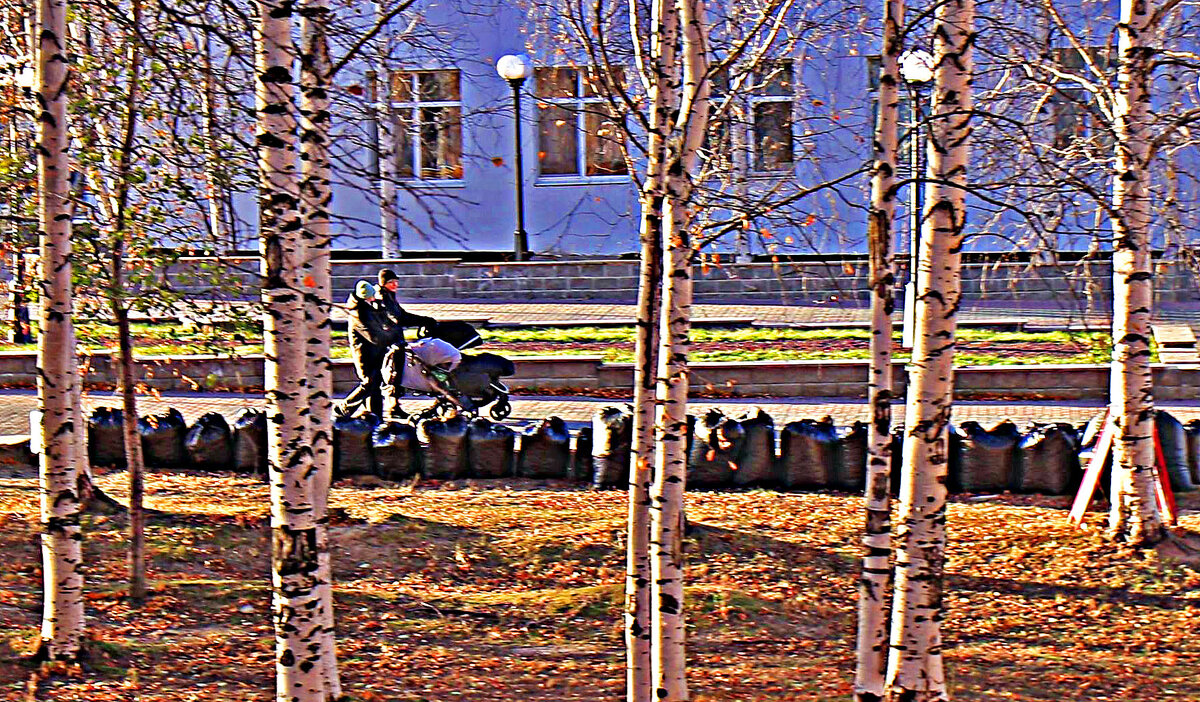 Октябрь...Последний погожий денек! - Владимир 