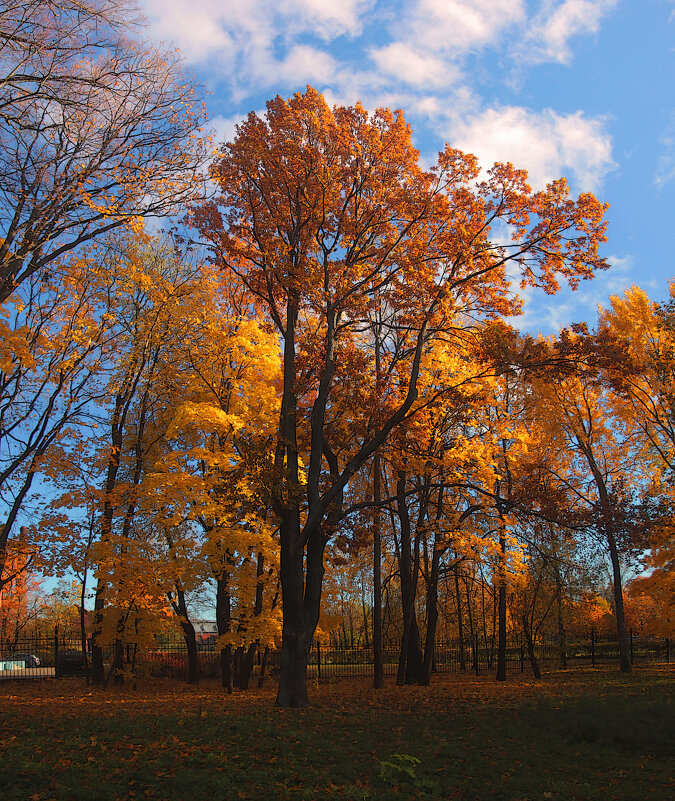 *** - Сергей Григорьев