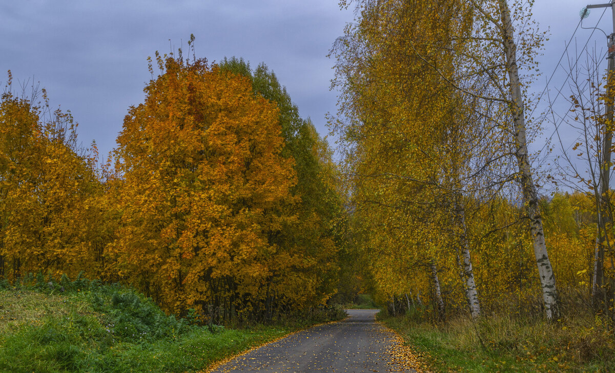 Осенняя дорога - Сергей Цветков