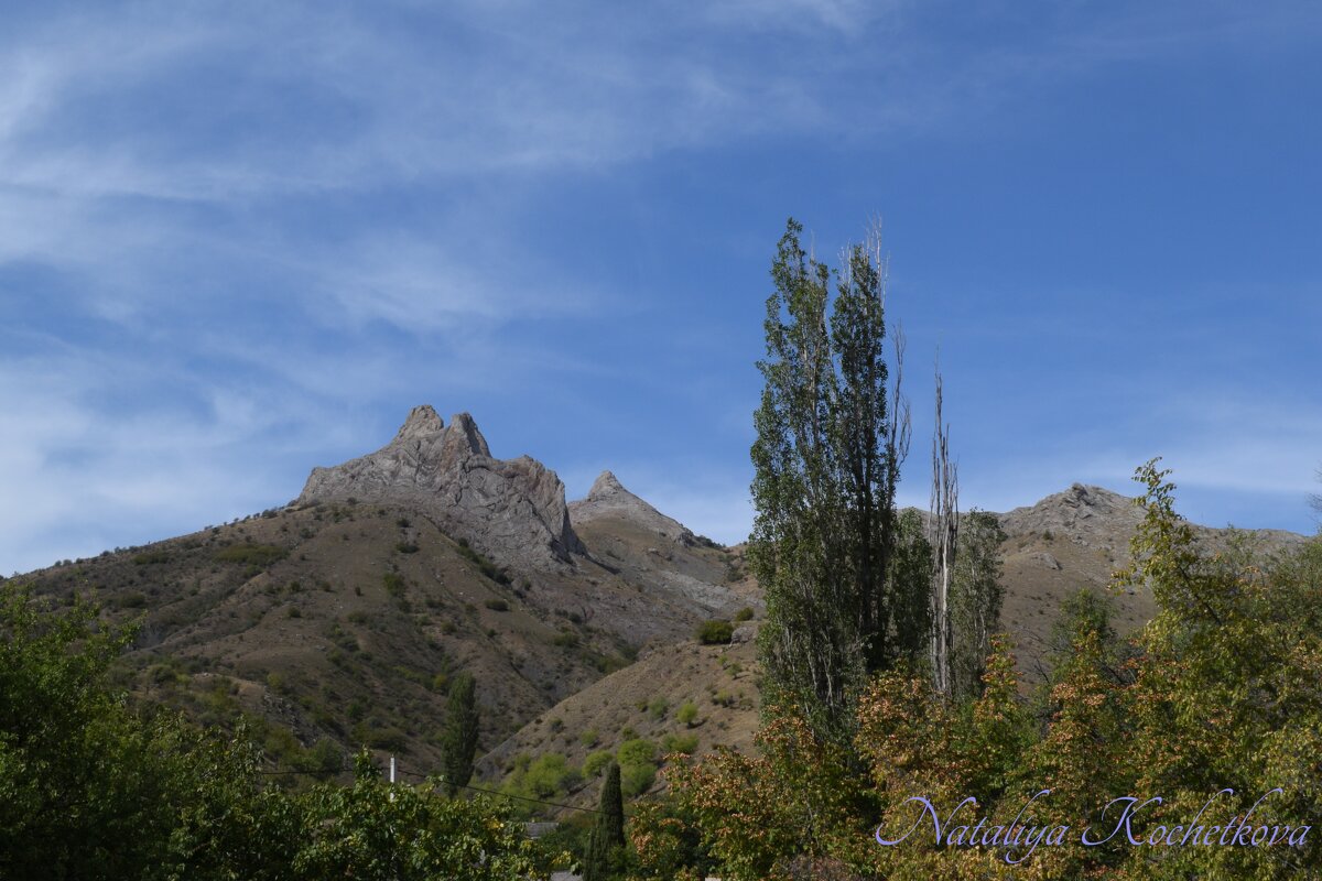 Природа Крыма - Amazing Cosmea