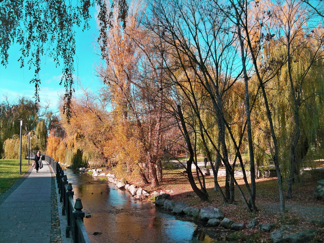 Осень золотая - Валентин Семчишин