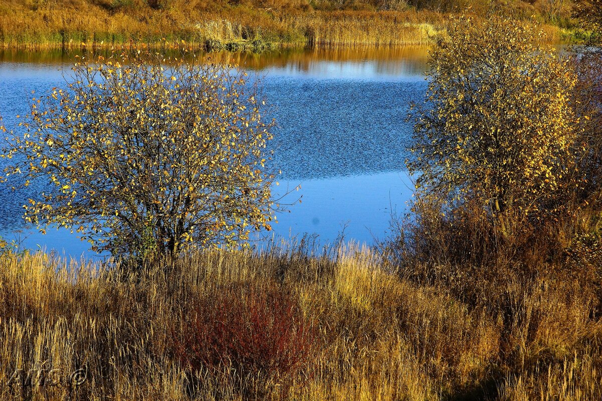!!! - kolyeretka !!! - kolyeretka